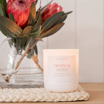 Coconut + Lime Candle / Large